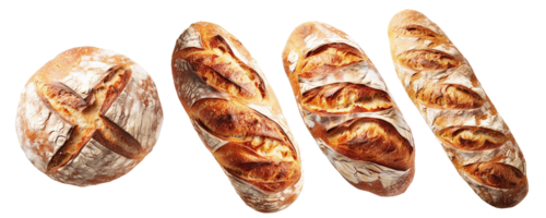 Freshly Baked Traditional Bread, Top View. Whole Loaf of Rustic Organic Cereal Bread Made of Sourdough Dough, Generative AI png