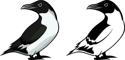 Razorbill bird Simple style clip art vector illustration, Seabird Alca torda stock vector image