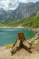 el naturaleza de Austria foto