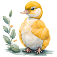 Duckling Watercolor PNG Design, Generative AI