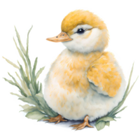 Duckling Watercolor PNG Design, Generative AI