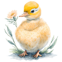 Duckling Watercolor PNG Design, Generative AI