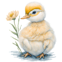 Duckling Watercolor PNG Design, Generative AI