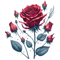 hand getekend waterverf rood roos PNG ontwerp, generatief ai