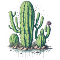 Watercolor Vivid Succulent And Cactus PNG