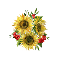 Watercolor botanical clipart with Sunflowers bouquet png