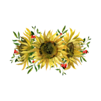 Watercolor botanical clipart with Sunflowers bouquet png