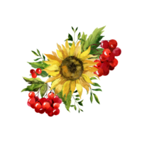 waterverf botanisch clip art met zonnebloemen boeket png