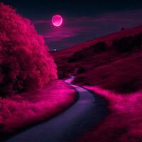 Pink road to pink moon photo