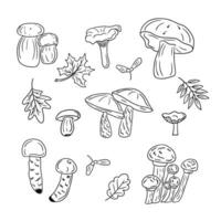 Set of hand drawn outline autumn mushrooms and leaves doodles. Black vector elements on white background. Different types of fungus. Sketch technique. Ideal for coloring pages, stickers, tatoo.