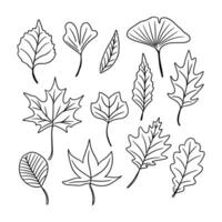 Set of hand drawn outline autumn leaves doodles. Black vector elements on white background. Different types of leaves. Sketch technique. Perfect for coloring pages, stickers, tatoo.