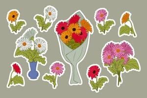 Set of colorful gerberas flat vector stickers. Hand drawun isolated flowers and and bunches with white outline. Bunches of gerberas in ceramic vase, in paper and with ribbon. Botanical unique design