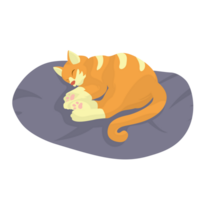 Cat Sleep on the Bad Illustration png