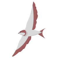 Bird Flying Illustrations png