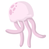 Pink Jellyfish Illustrations png