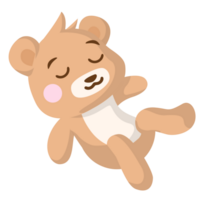 poco orso dormire illustrazioni png