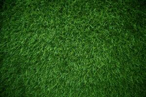 Green grass texture background grass garden concept used for making green background football pitch, Grass Golf, green lawn pattern textured background. photo