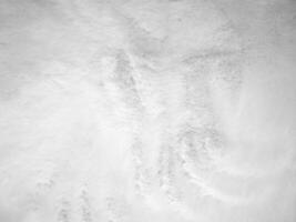 White clean wool texture background. light natural sheep wool. white seamless cotton. texture of fluffy fur for designers. close-up fragment white wool carpet. photo