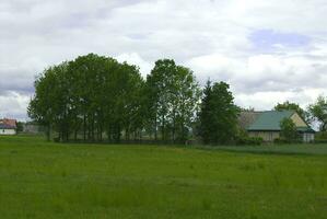 natural verde primavera rural calma paisaje con azul cielo foto