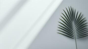 Minimalist background with palm leaves photo