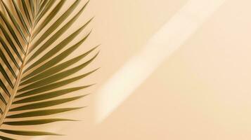 Minimalist background with palm leaves photo