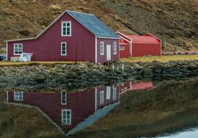 casa en escandinavo estilo en eskifjordur pueblo de este región de Islandia. foto