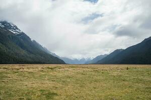 The scenery view of Eglinton valley the spectacular landscape on the road to Milford Sound in south island of New Zealand. photo