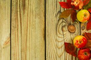 collection beautiful colorful autumn leaves and apples on wooden background. photo