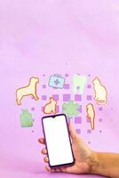 Smart phone surrounded by animal and medicine shapes on purple background. Veterinary concept. photo