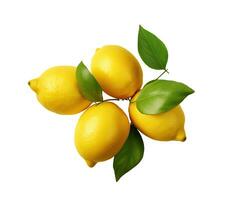 Lemons isolated on white or transparent background cutout. Generative AI photo