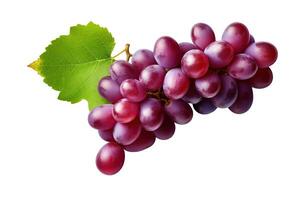 Grape plant isolated on white or transparent background cutout. Generative AI photo