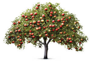 Apple tree isolated on white or transparent background cutout. Generative AI png