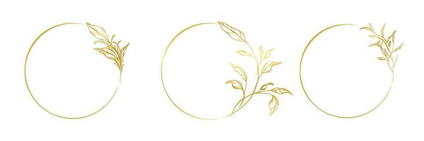 Botanical golden circle frame set. Hand drawn round line border, leaves and flowers, wedding invitation and cards, logo design, social media and posters template. Elegant minimal style floral vector