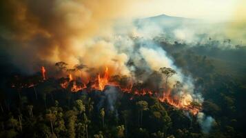 fuego en el tropical bosque foto