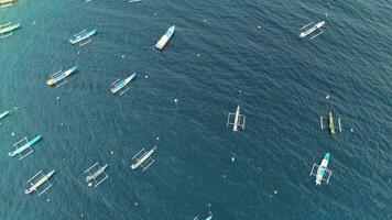 Aerial view of rows of fishing boats in the sea photo