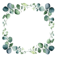 Watercolor eucalyptus leaves frame isolated png