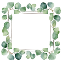 Watercolor eucalyptus leaves frame isolated png