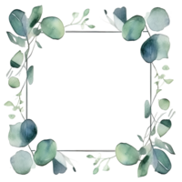 Watercolor eucalyptus leaves frame isolated png