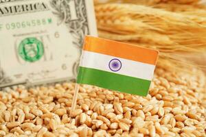 India flag on grain wheat, trade export and economy concept. photo