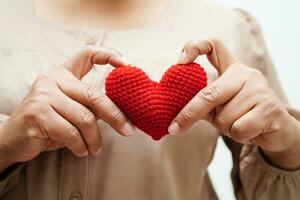 Asian woman holding human internal organ model, donation charity volunteer concept. photo