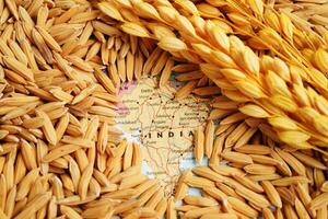 Bangkok, Thailand March 12, 2023 India map with grain rice from agriculture farm. Law and justice court concept. photo