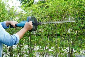 Gardener trimming bush by electric hedge clippers in garden. Hobby at home. photo