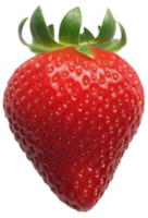 des fraises sur une transparent Contexte png