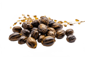 Castor oil seeds isolated on transparent background. PNG file, cut out. AI Generated