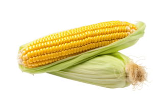 Corn isolated on transparent background. PNG file, cut out. AI Generated