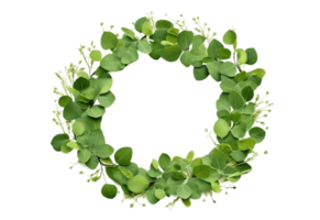 Green floral frame with eucalyptus leaves isolated on transparent background. PNG file, cut out. AI Generated