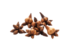 Clove flower buds isolated on transparent background. PNG file, cut out. AI Generated