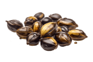 Castor oil seeds isolated on transparent background. PNG file, cut out. AI Generated