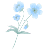 blauw bloemen waterverf stijl png