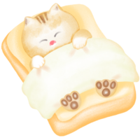 The yellow kitten sleeps happily on the soft cushion png